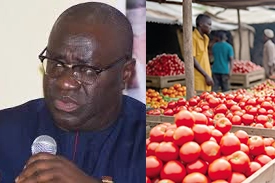 “Is It Not a Failure?” – Prof. Kwesi Aning Questions Ghana’s Dependence on Burkina Faso for Tomatoes Amid Security Concerns